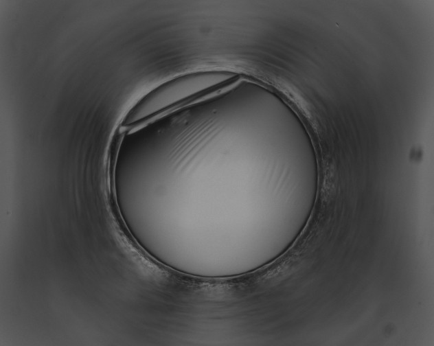 X0000091191080200708301232