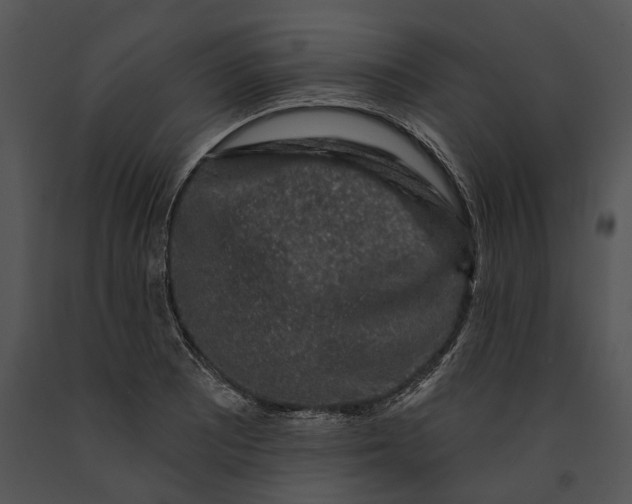 X0000091191081200708301232