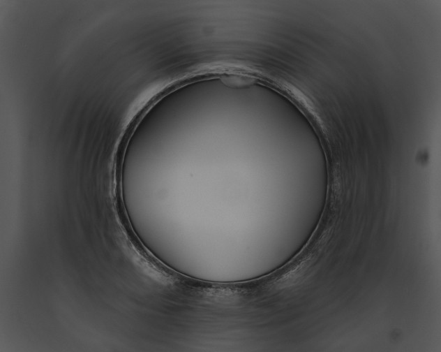 X0000091191082200708301232