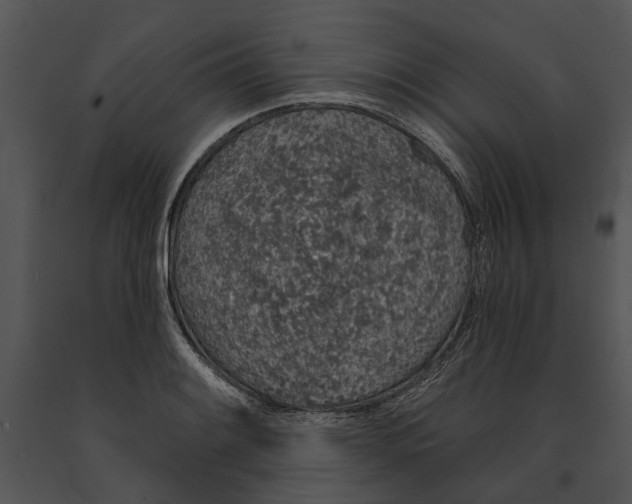 X0000091191084200708301232