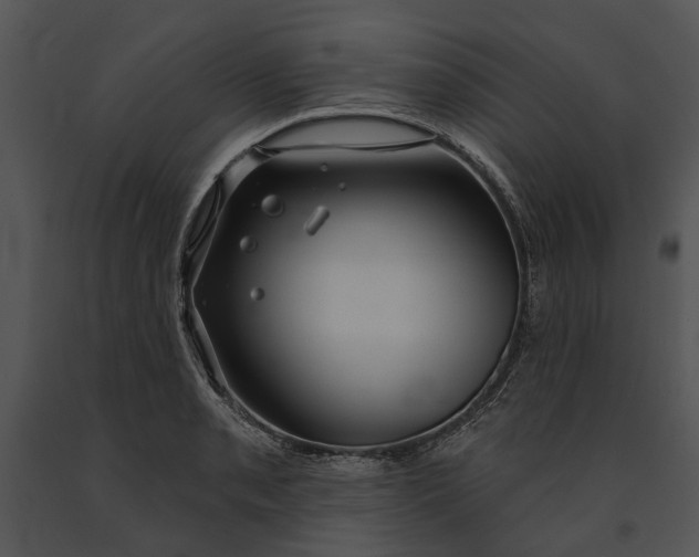 X0000091191085200708301232