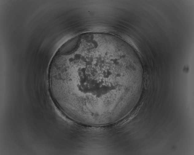 X0000091191087200708301232