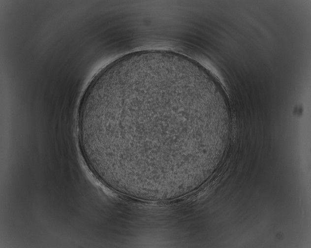 X0000091191088200708301232