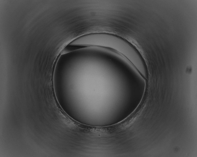 X0000091191089200708301232