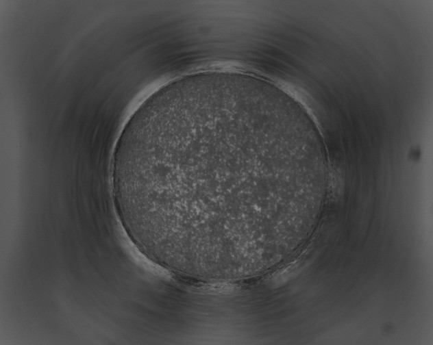 X0000091191090200708301232