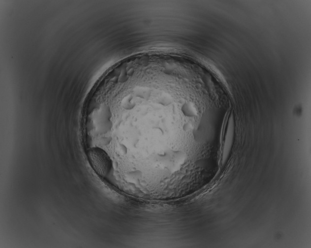 X0000091191091200708301232