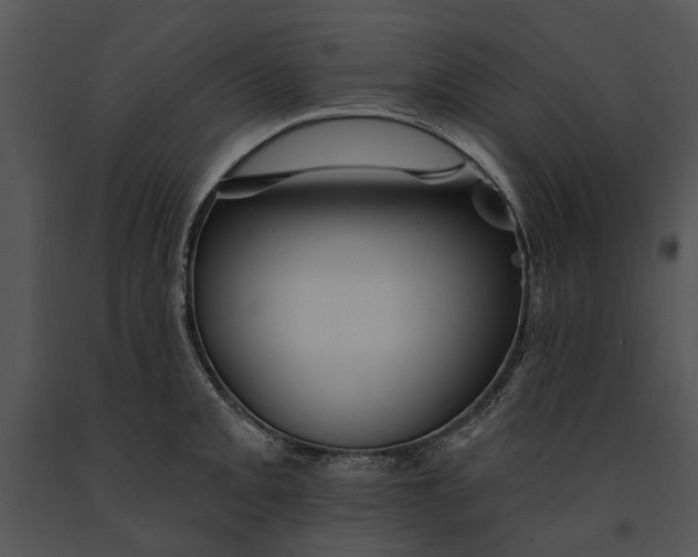 X0000091191093200708301232