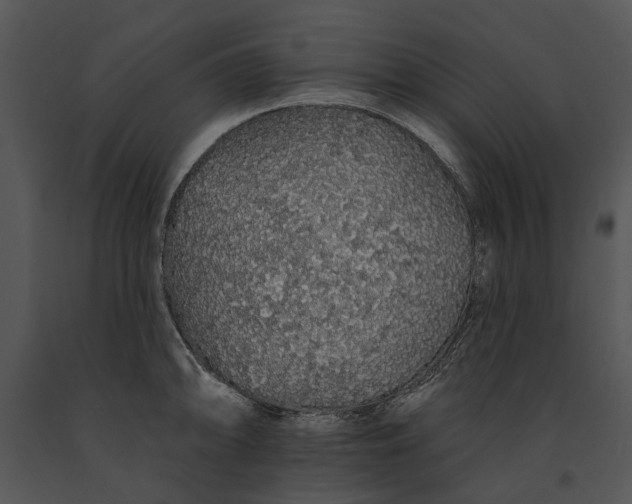 X0000091191094200708301232