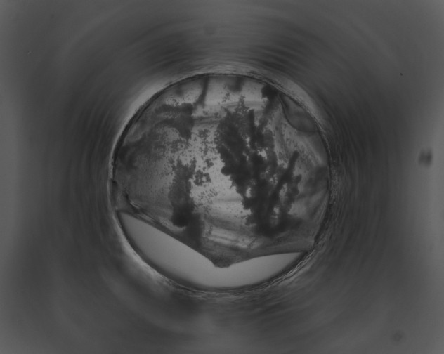 X0000091191095200708301232