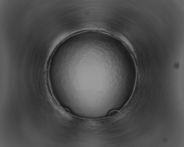 X0000091191096200708301232