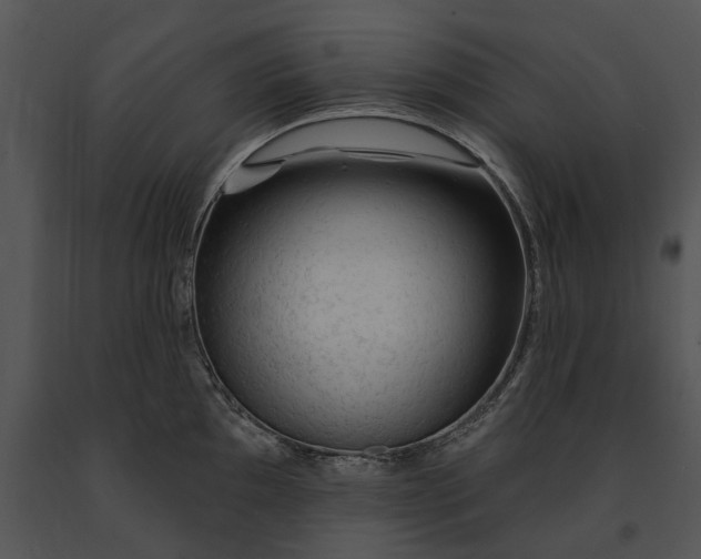 X0000091191097200708301232