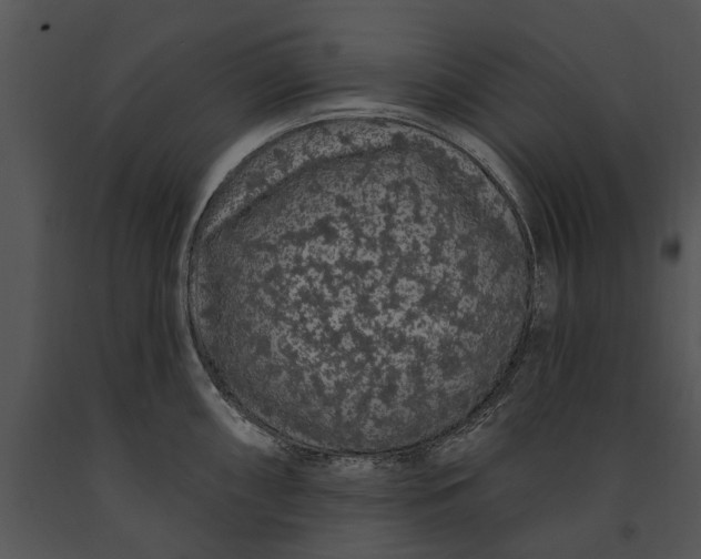 X0000091191098200708301232