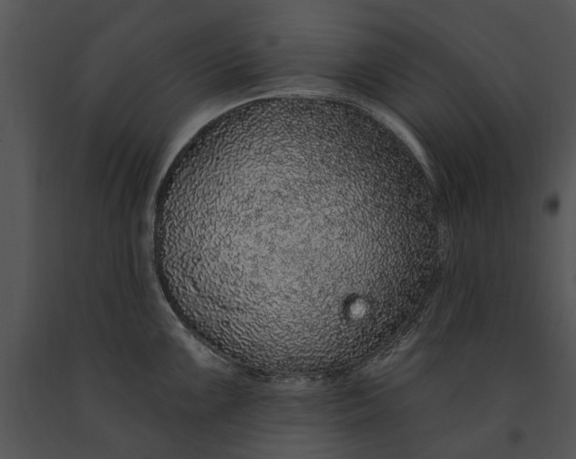 X0000091191099200708301232