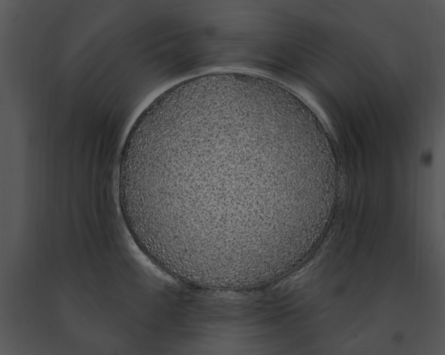 X0000091191100200708301232