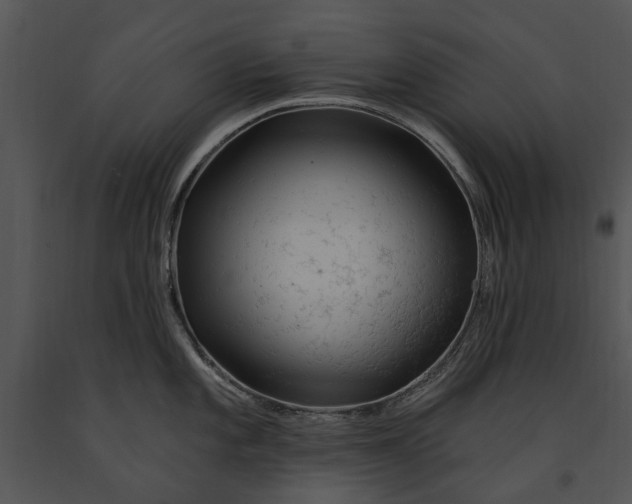 X0000091191101200708301232