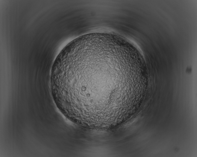 X0000091191103200708301232