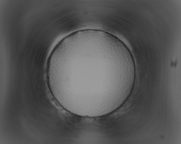 X0000091191104200708301232