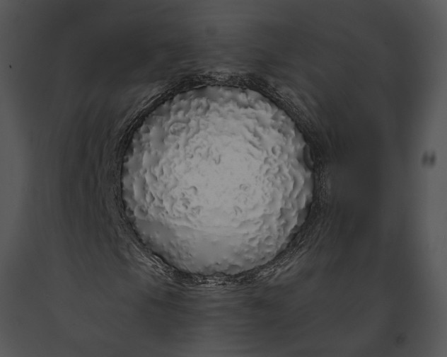 X0000091191105200708301231