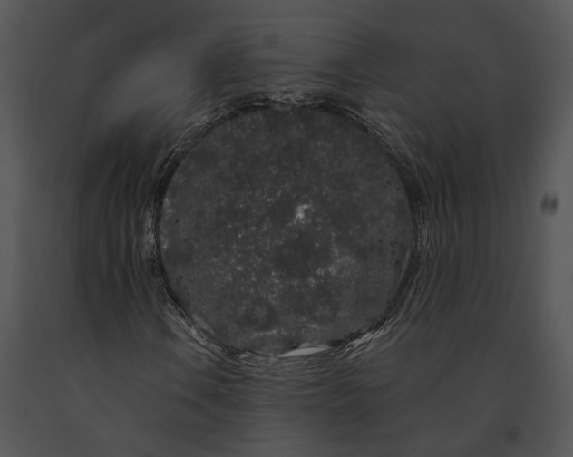 X0000091191106200708301231