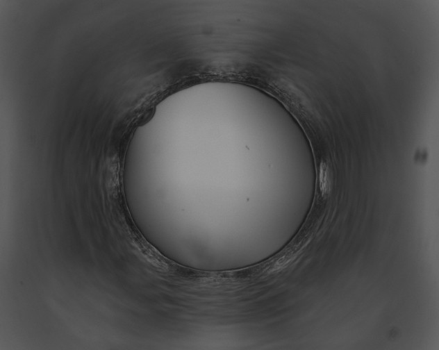 X0000091191107200708301231