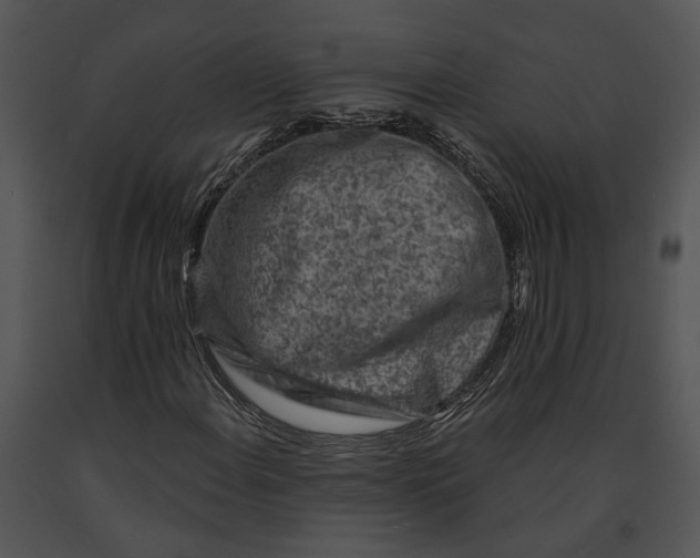 X0000091191108200708301231