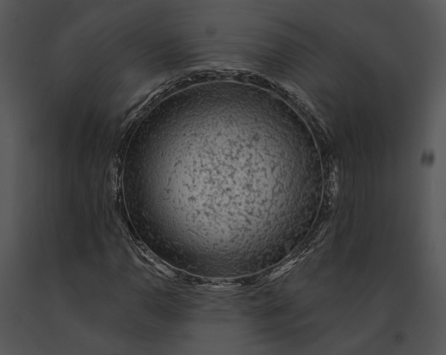 X0000091191110200708301231