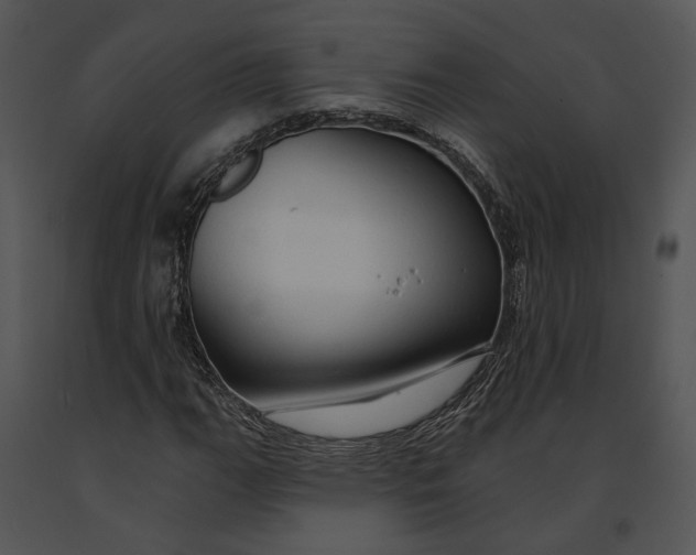 X0000091191111200708301231