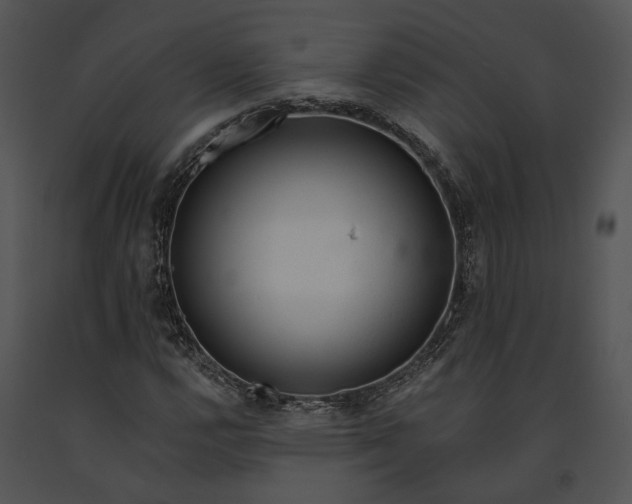 X0000091191112200708301231