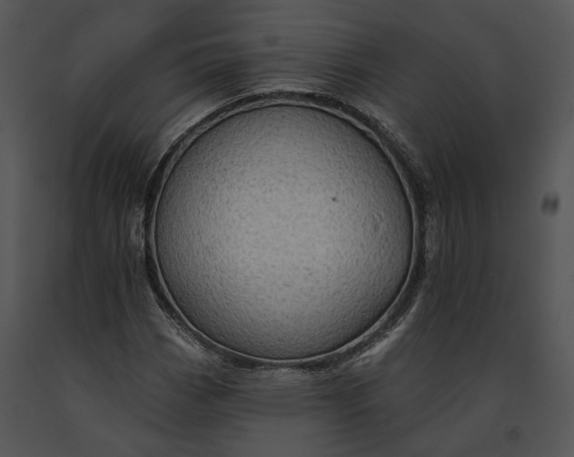 X0000091191113200708301231