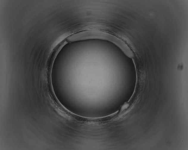 X0000091191114200708301231