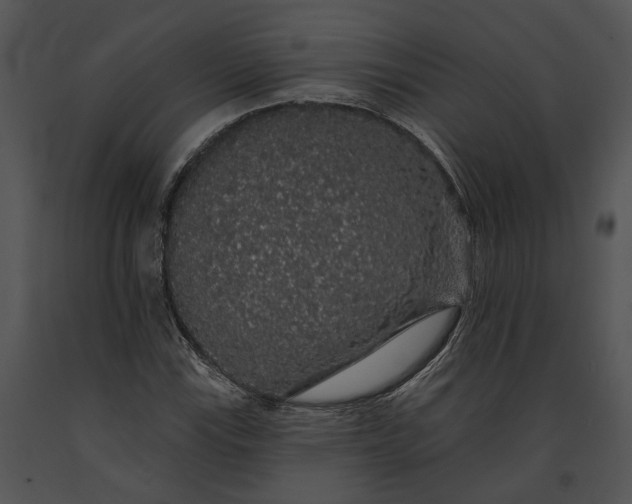 X0000091191115200708301231