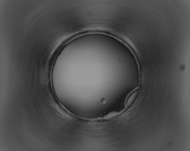 X0000091191116200708301231