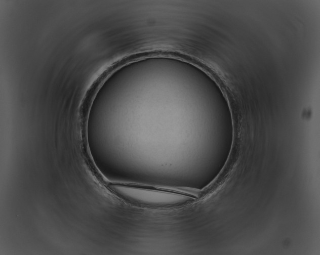 X0000091191118200708301231