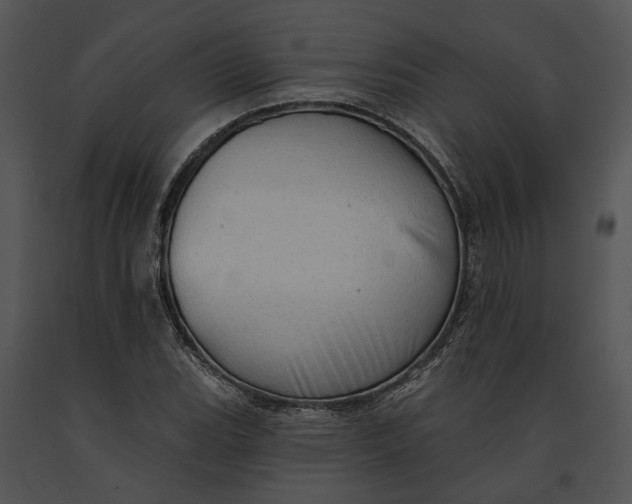 X0000091191119200708301231