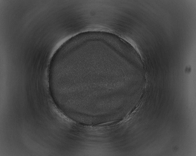 X0000091191120200708301231