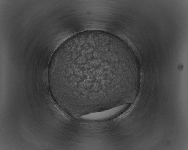 X0000091191121200708301231