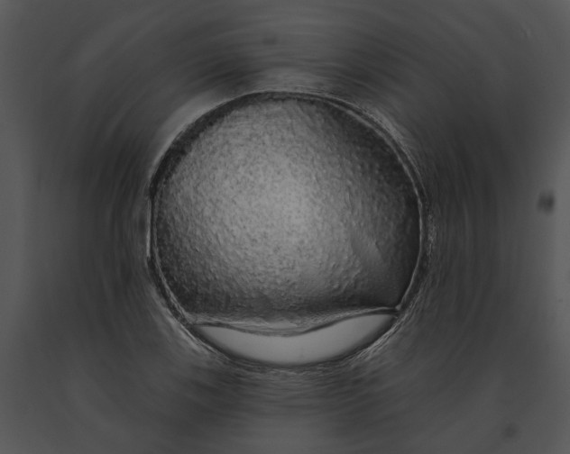 X0000091191123200708301231