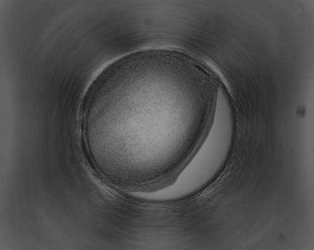 X0000091191124200708301231