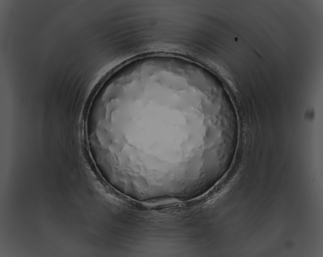 X0000091191125200708301231