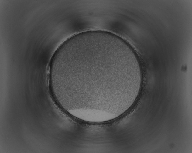 X0000091191126200708301231