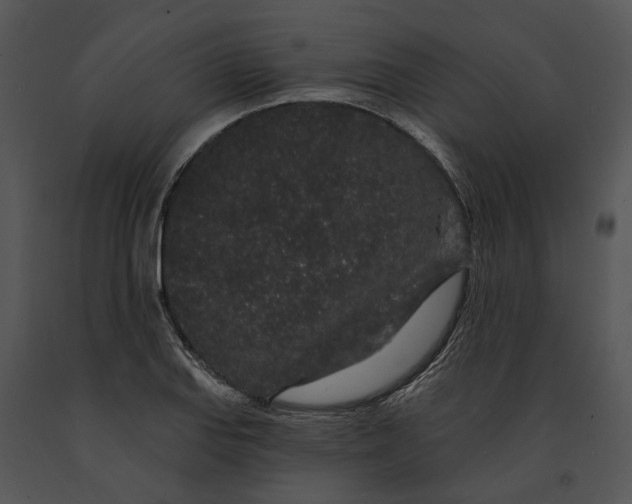 X0000091191127200708301231