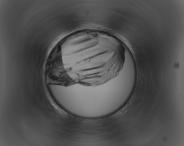 X0000091191128200708301231