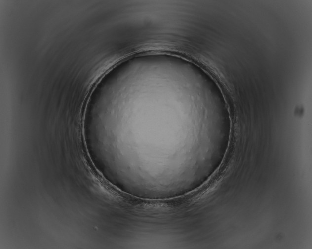 X0000091191129200708301231