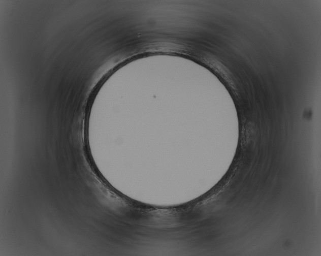 X0000091191130200708301231