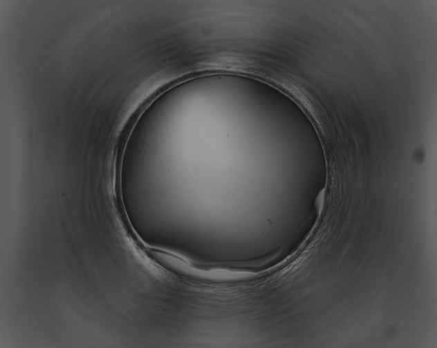 X0000091191131200708301231