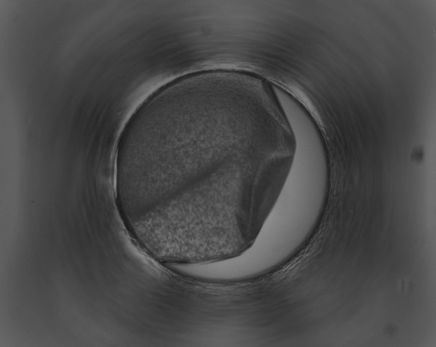 X0000091191132200708301231