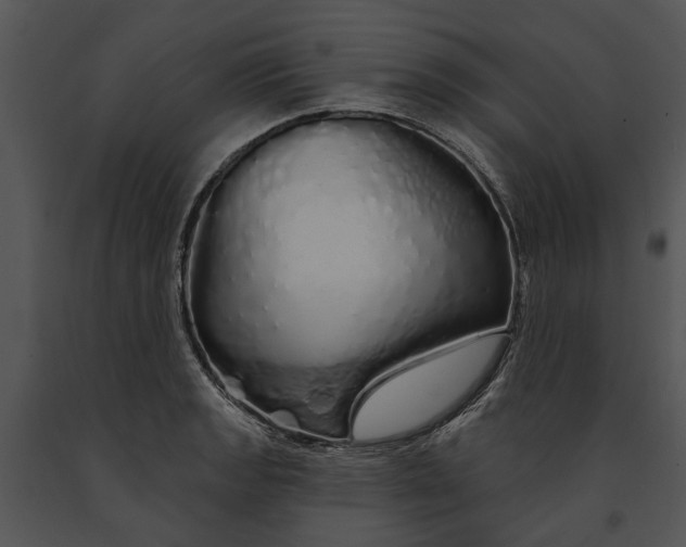 X0000091191133200708301231