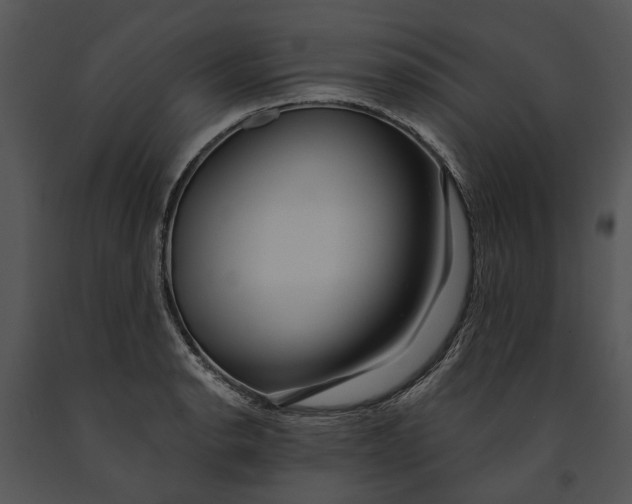 X0000091191134200708301231