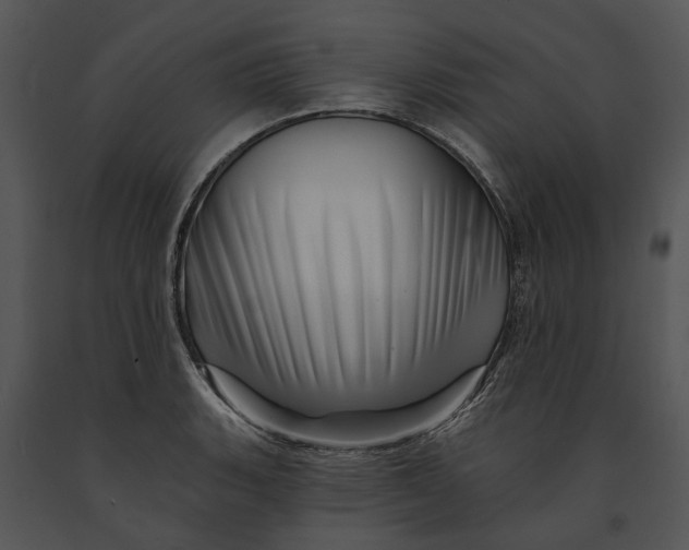 X0000091191135200708301231