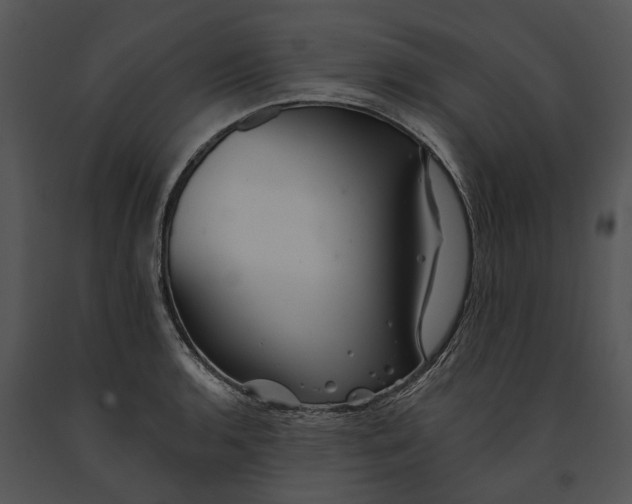 X0000091191136200708301231